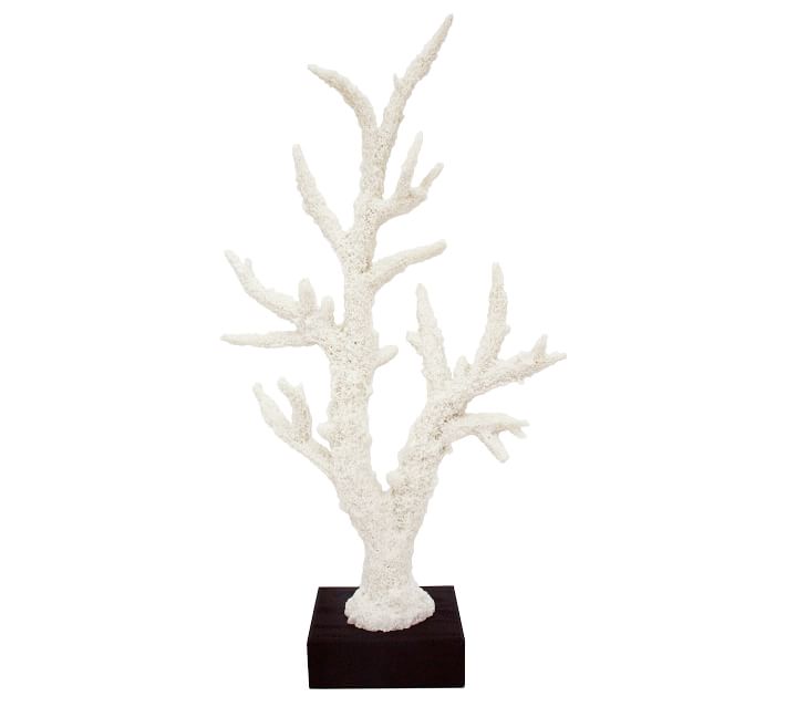 natural white branch coral 8x11 on thick glass display base