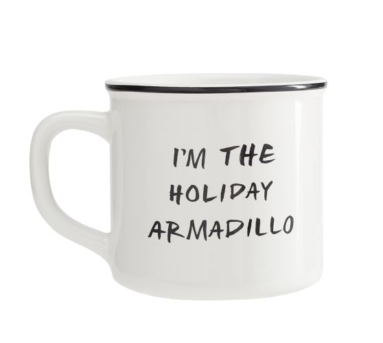 Friends Holiday Armadillo [Book]