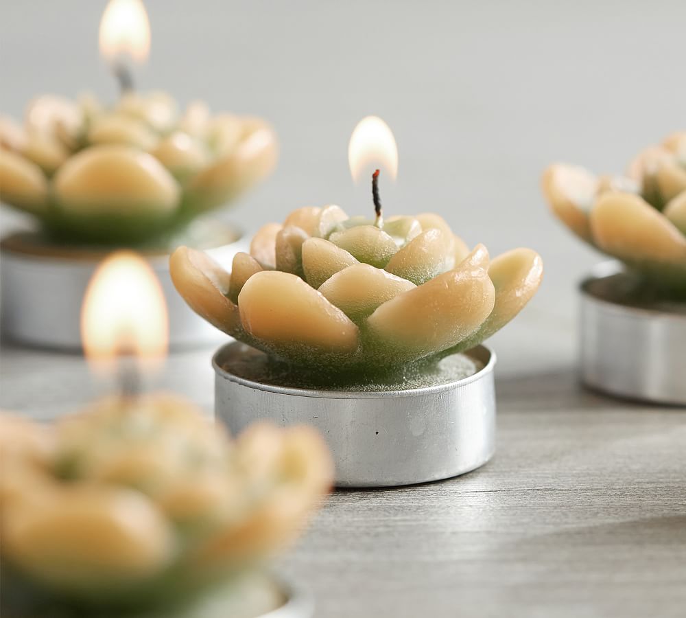 Succulent Candle Tealights, Set of 5