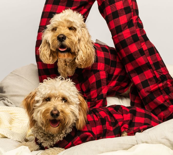 Matching Plaid Adult Pajamas Pottery Barn