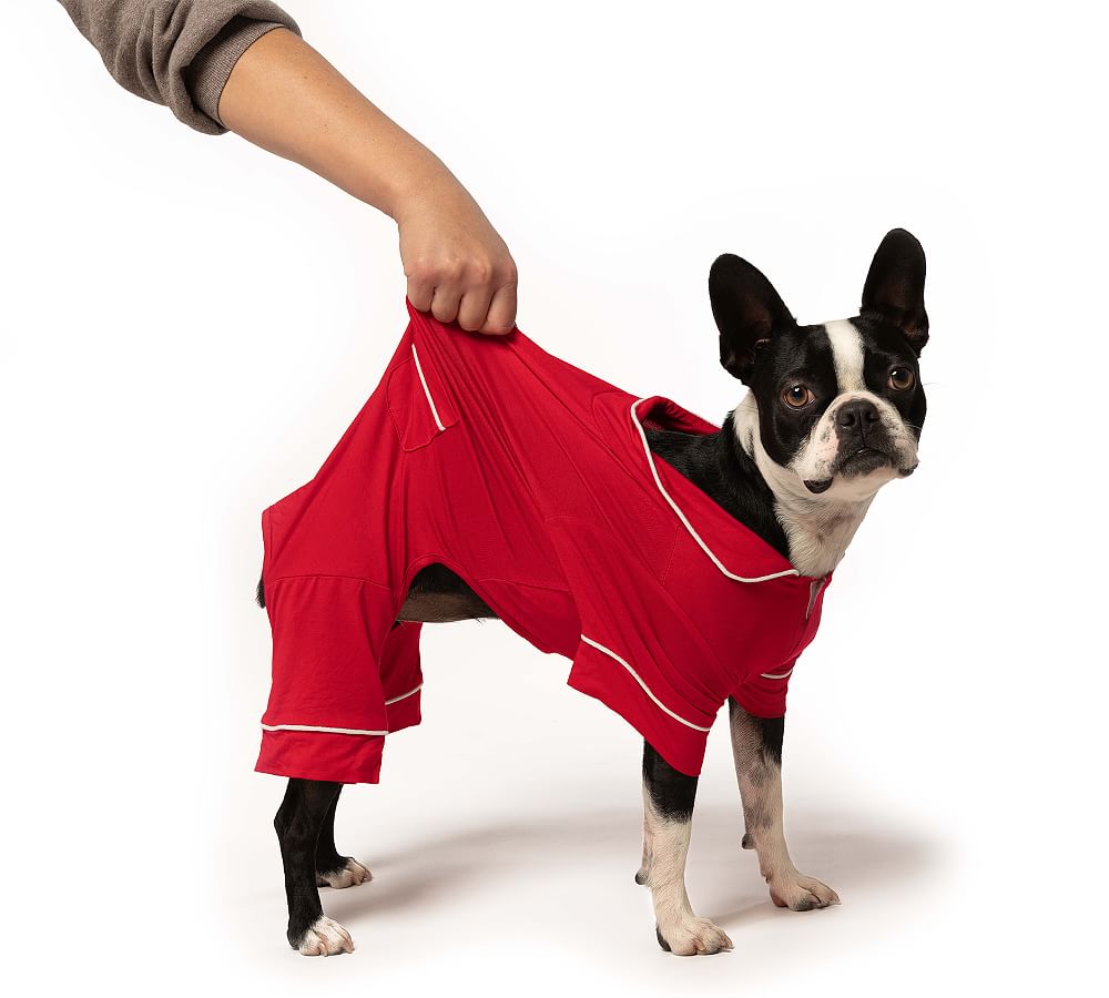 Matching dog and human pajamas hot sale