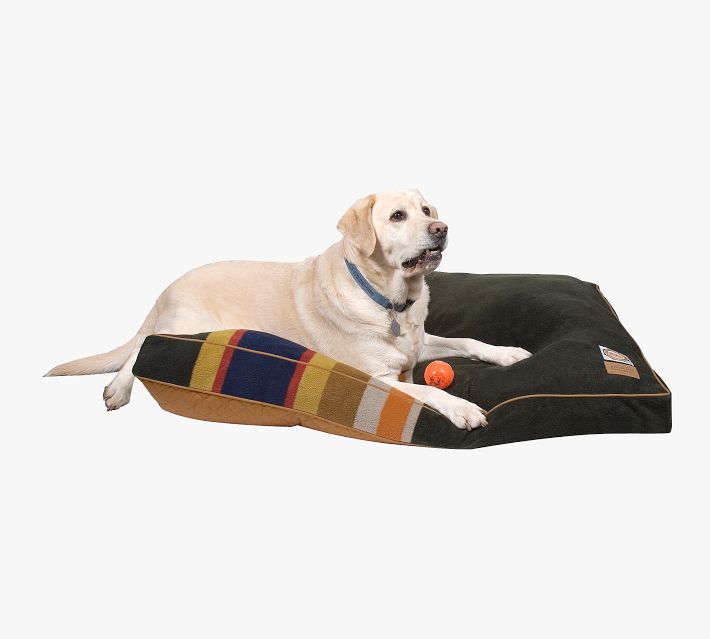 Pendleton store pet bed