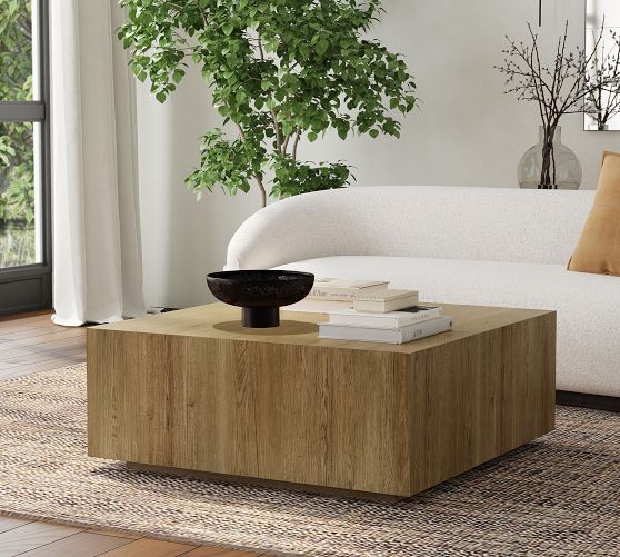 https://assets.pbimgs.com/pbimgs/rk/images/dp/wcm/202348/0790/larisa-square-coffee-table-2-c.jpg