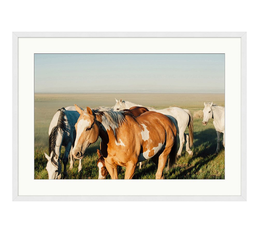 Spirit of the West by Meg Haywood Sullivan Pottery Barn