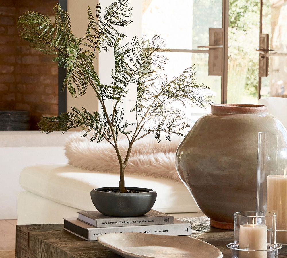 Faux Potted Grey Fern Pottery Barn