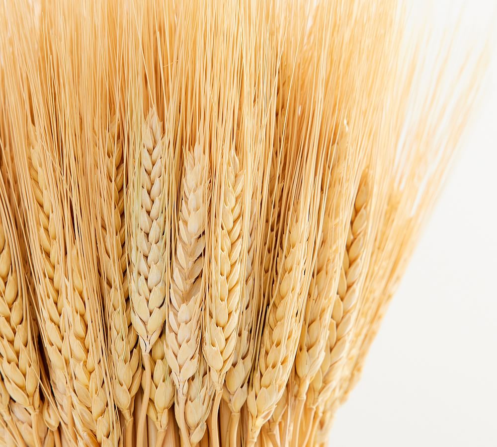 Dried Standing Wheat Bundle | Pottery Barn