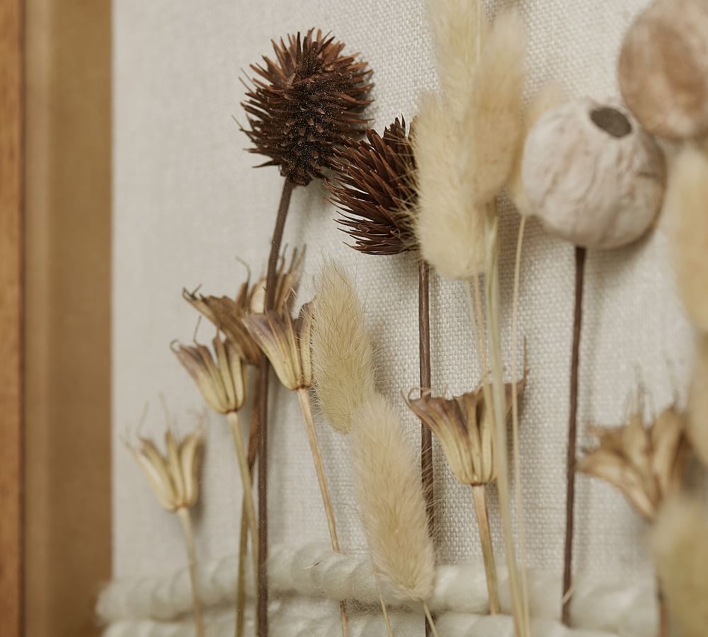 15+ Dried Flower Shadow Box