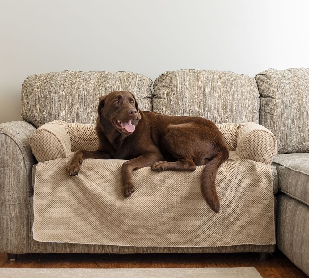 Pet-Proofing Furniture: Comfort Works Leather Sofa Cover - The