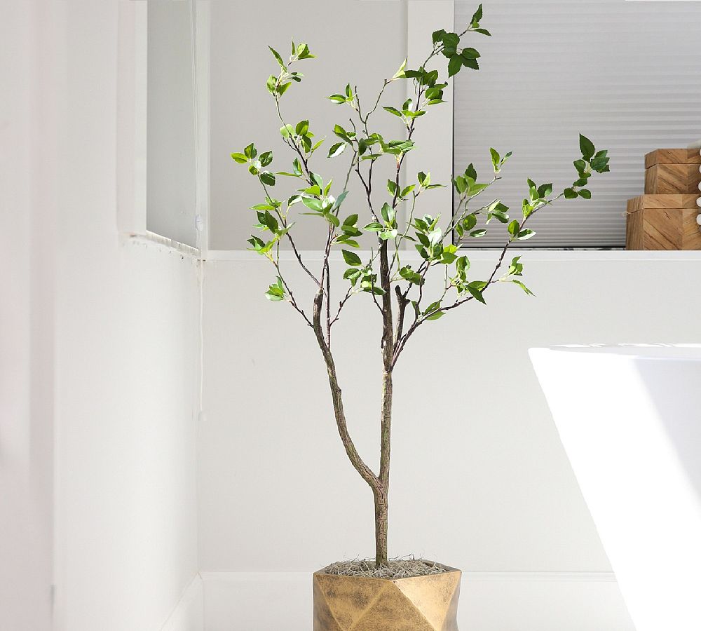 Faux Potted Citrus Tree | Pottery Barn