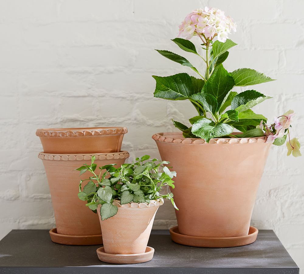 Provence Scalloped Edge Outdoor Planters
