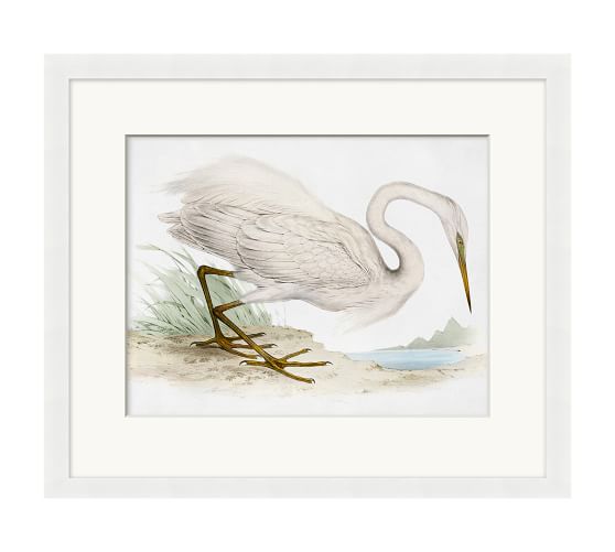 White Heron Framed Print | Pottery Barn