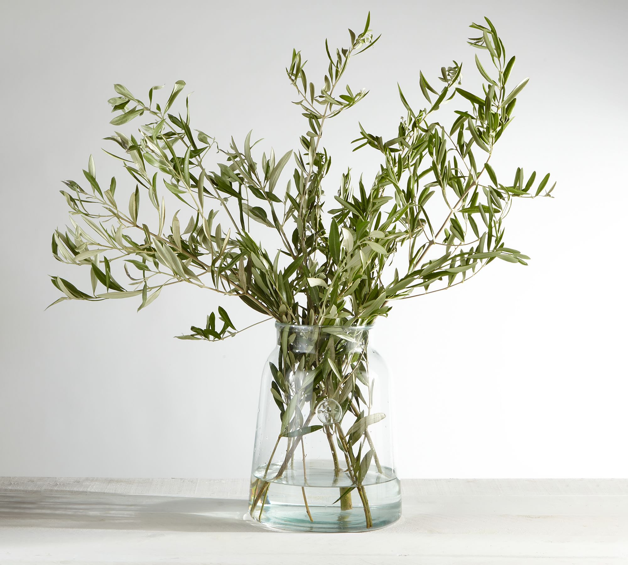 Live Olive Leaves Bunches