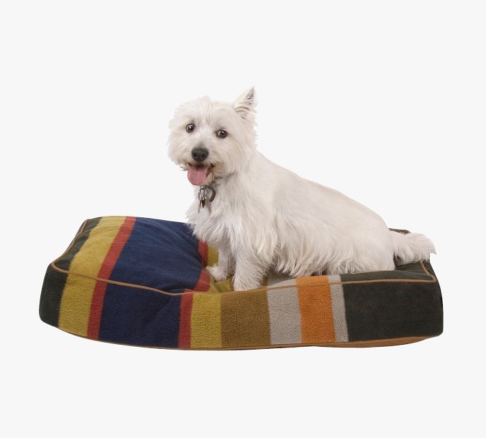 Pendleton dog hot sale blanket