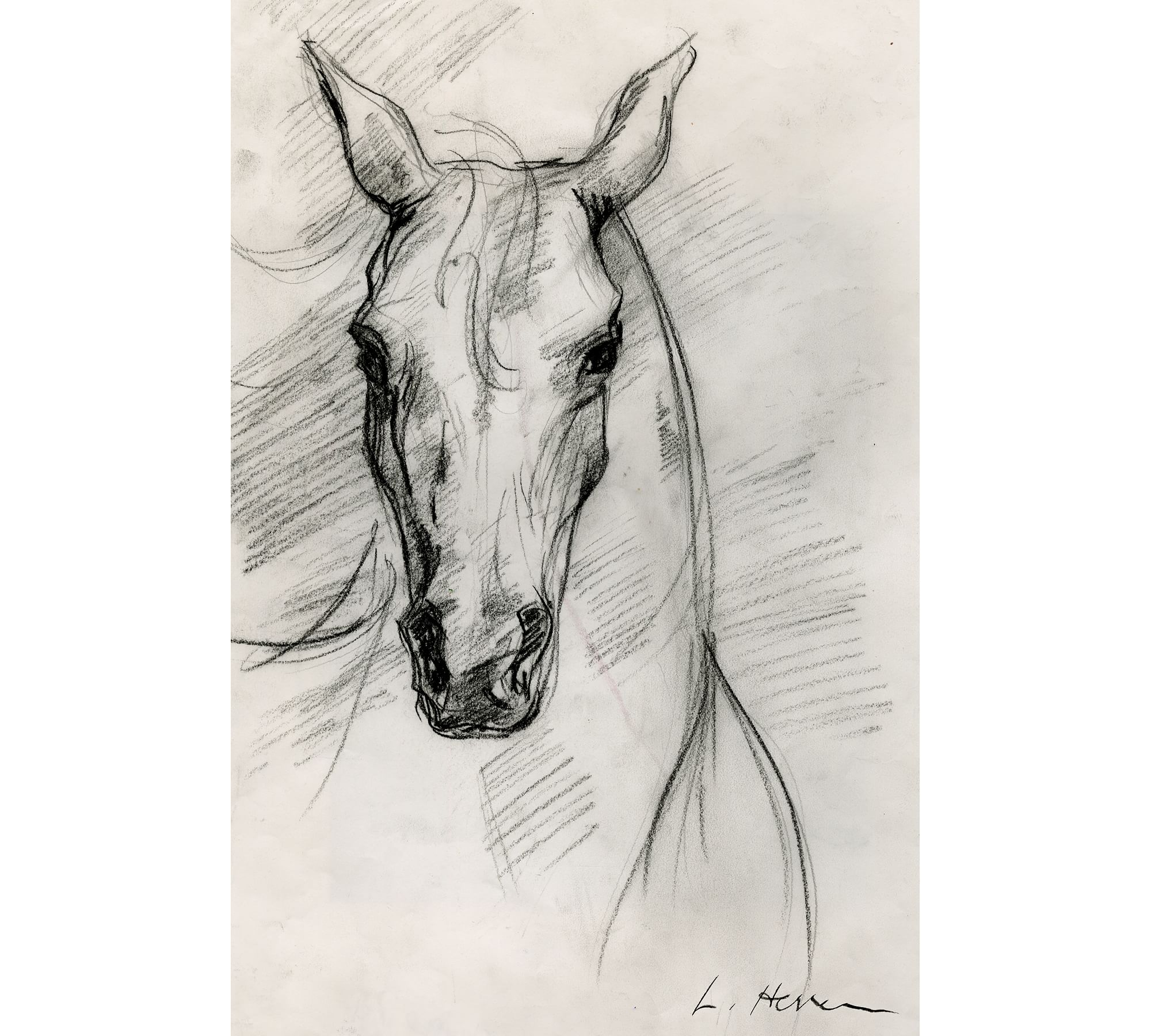 Horse Study by The Artists Studio