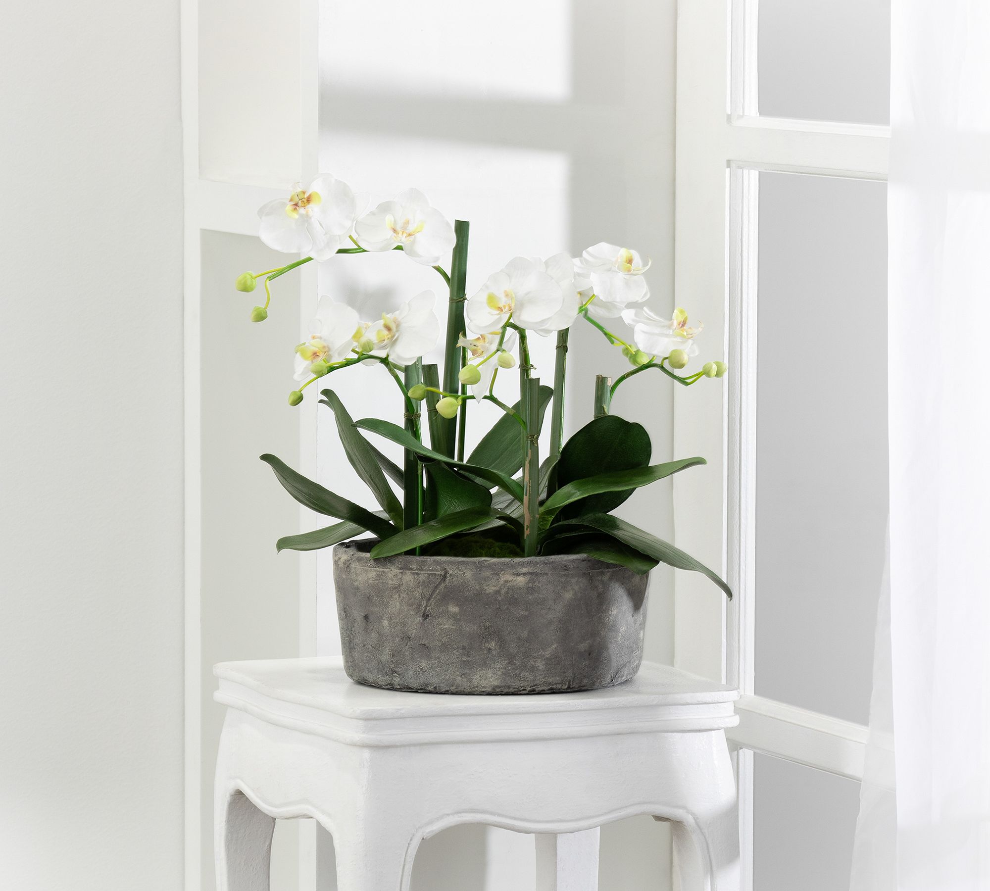 Faux Orchid In Clay Pot