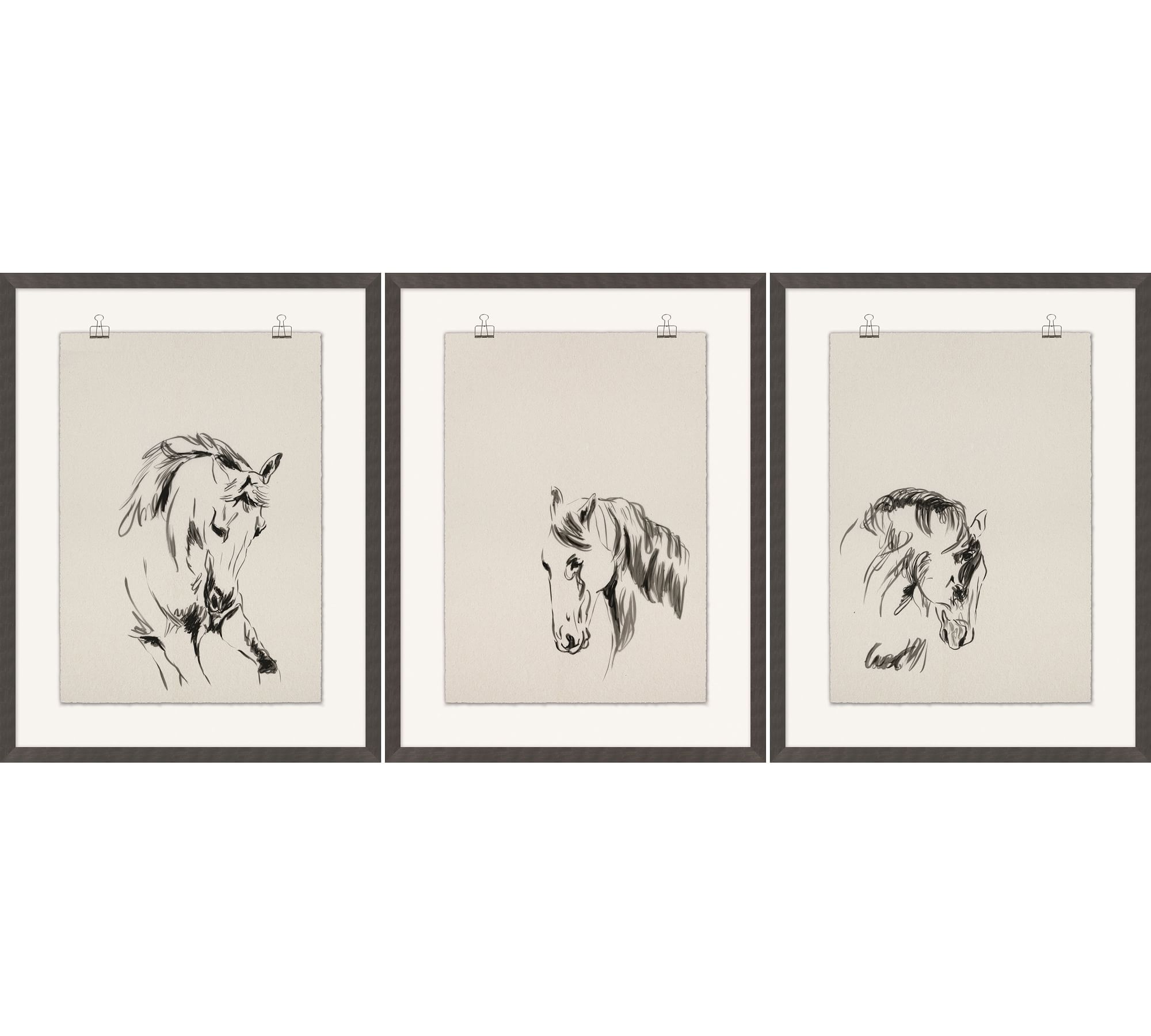 Equestrian Drawing Framed Print