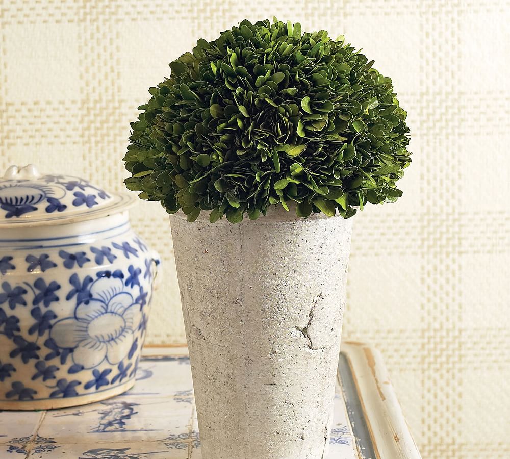 Preserved Boxwood Round Topiary Tree In Tall Pot