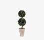 Preserved Boxwood Potted Double Sphere Topiary Trees