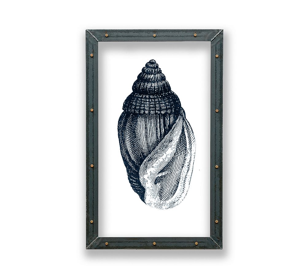 Cone Shell Framed Acrylic Print