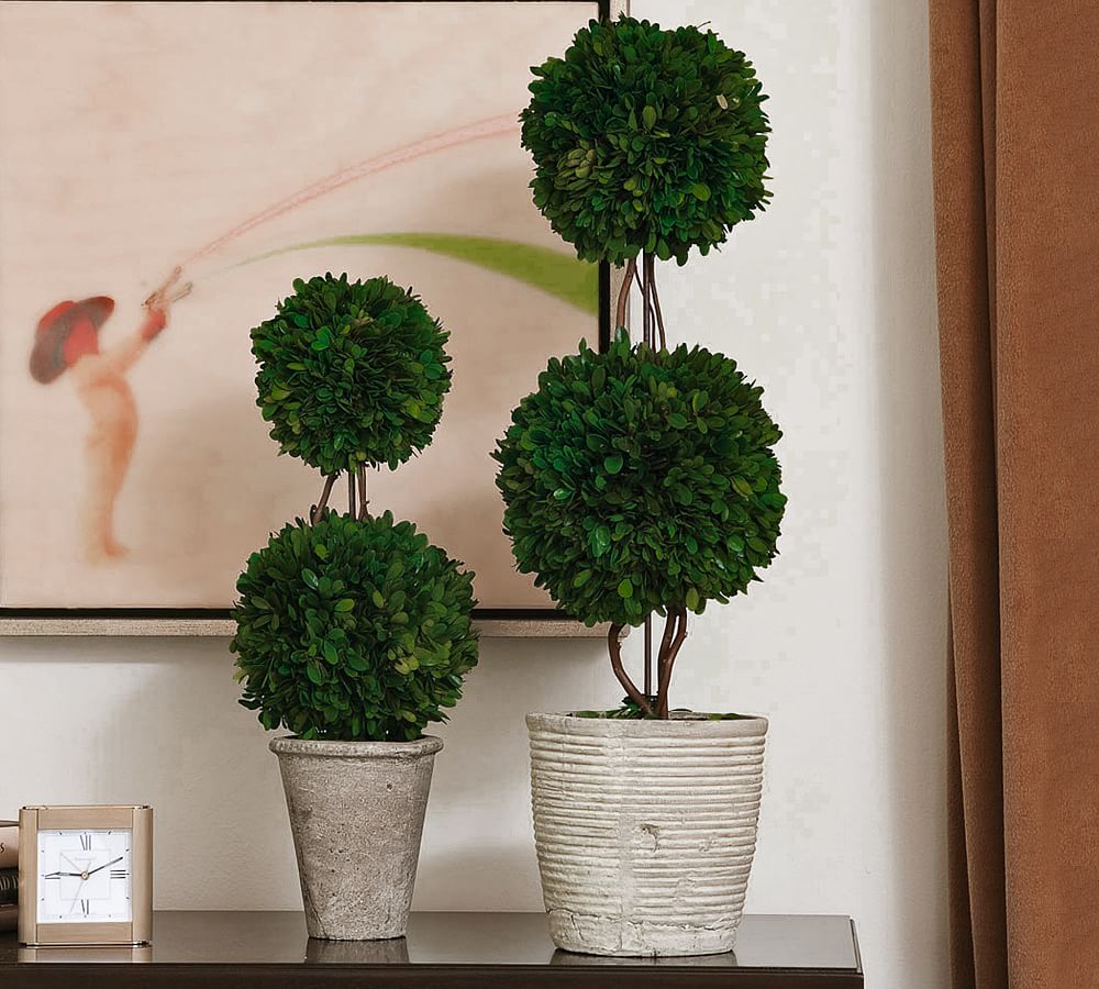 Preserved Boxwood Potted Double Sphere Topiary Trees