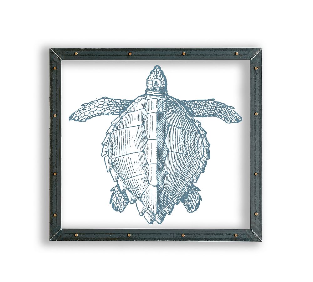 Sea Turtle Framed Acrylic Print
