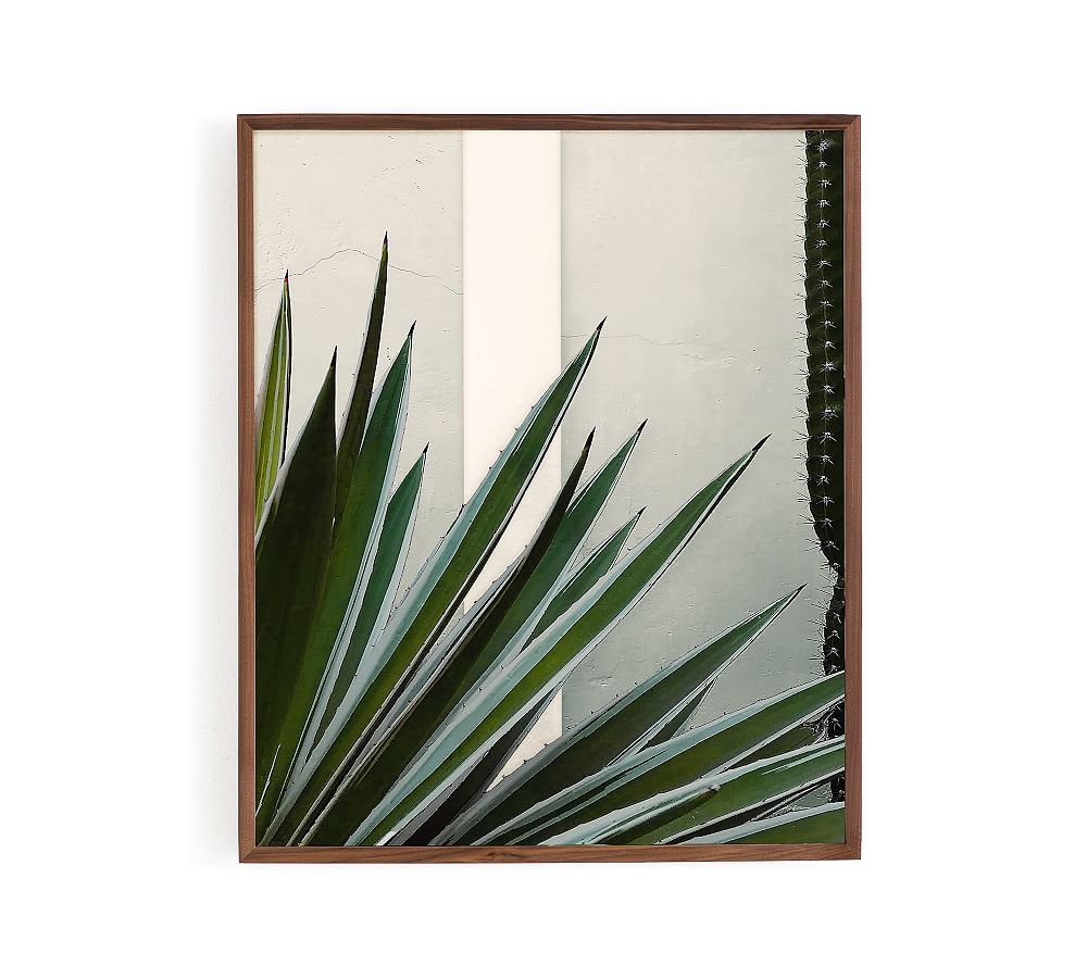 Yucca Framed Print