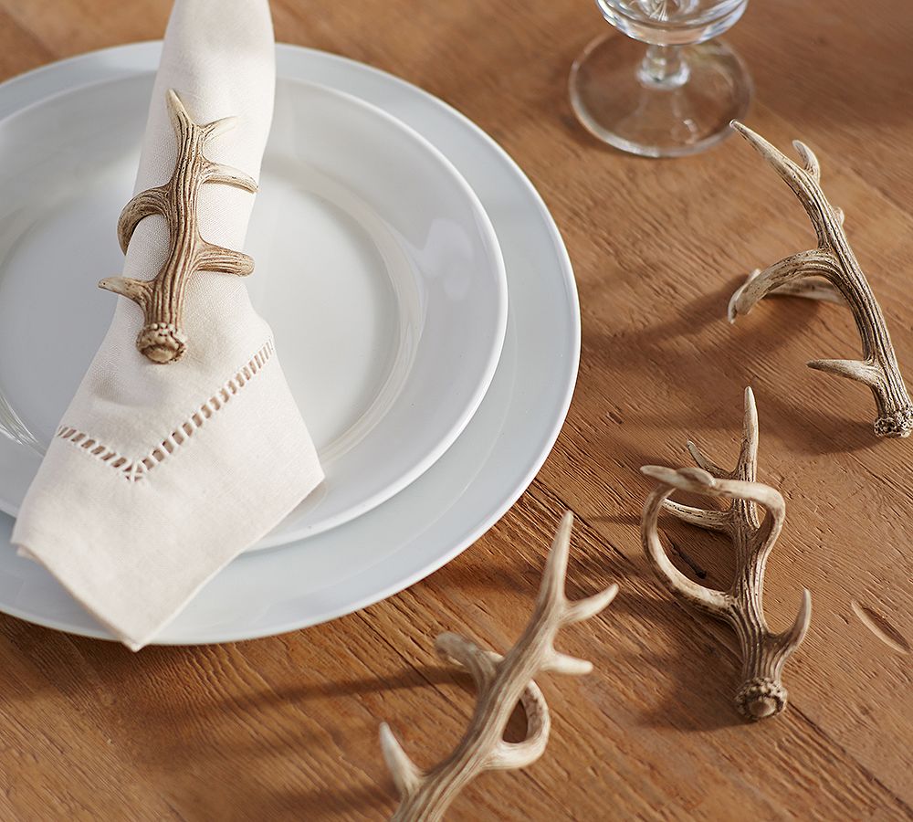 Pottery barn hot sale napkin rings