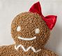 Mr. Spice Gingerbread Pillow