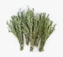 Live Rosemary Bunches