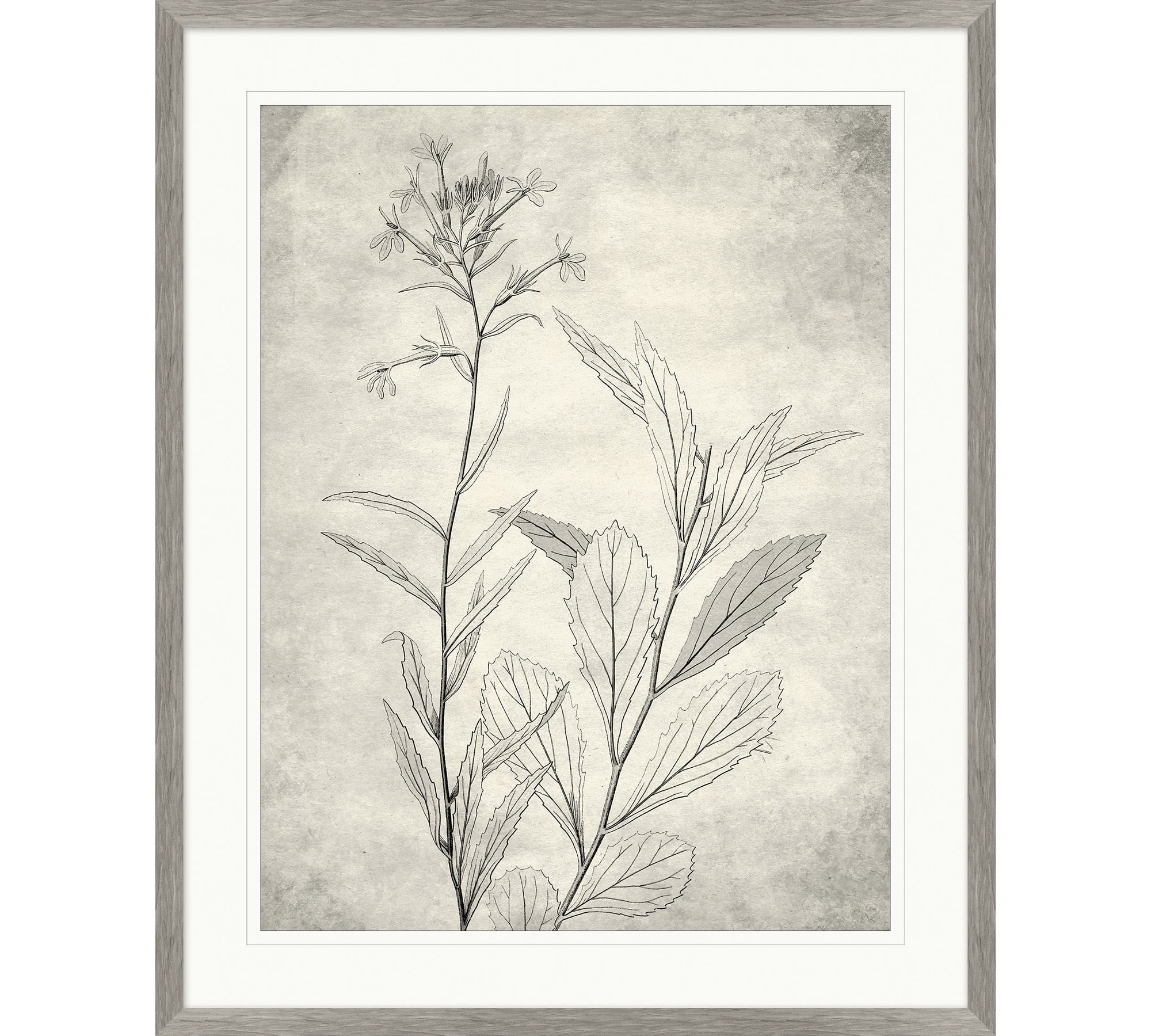 Wildflower Impression Framed Print