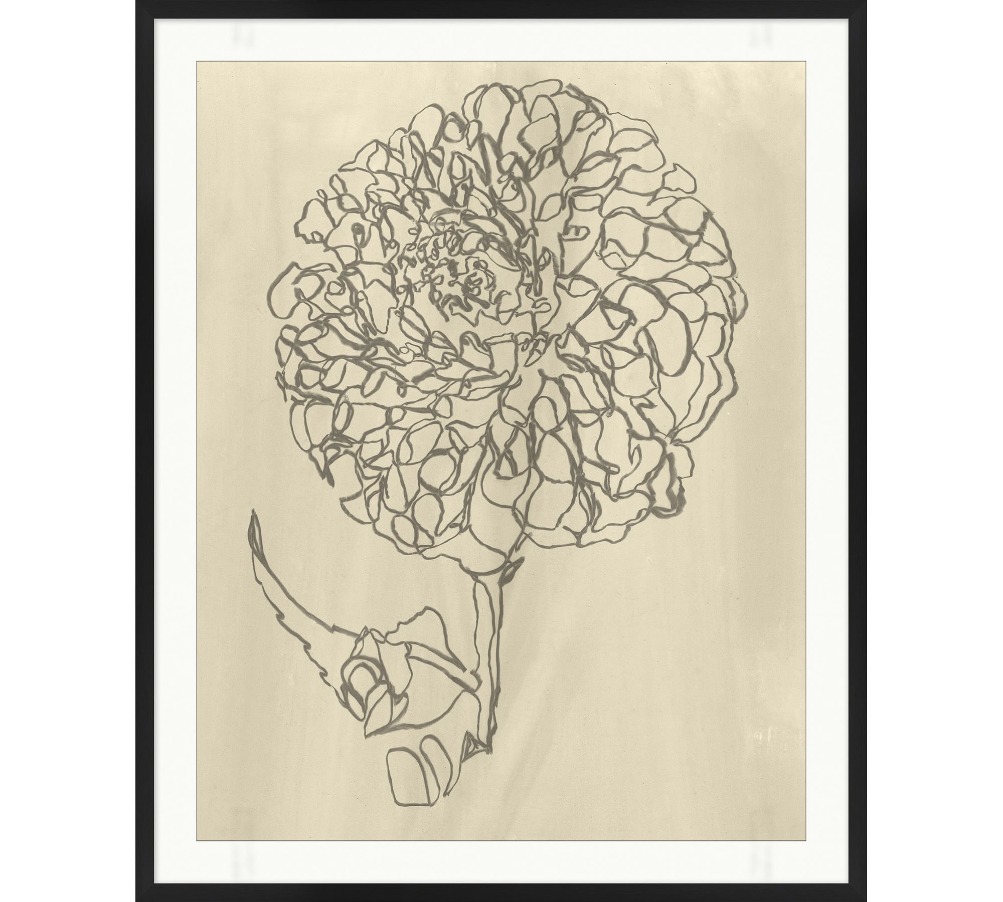 Blooming Sketch Framed Print