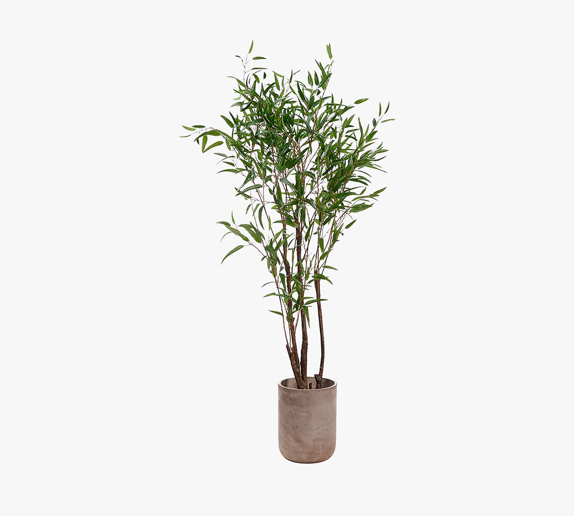 Faux Bamboo Tree In Pot