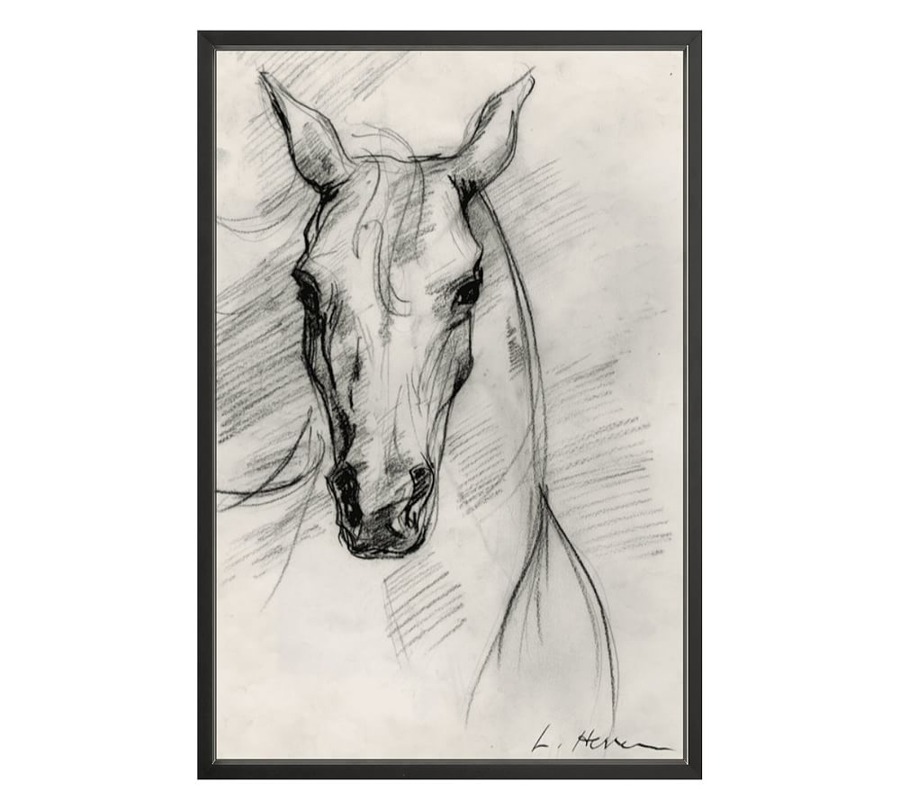 Custom Framed Print - Horse Study by The Artists Studio
