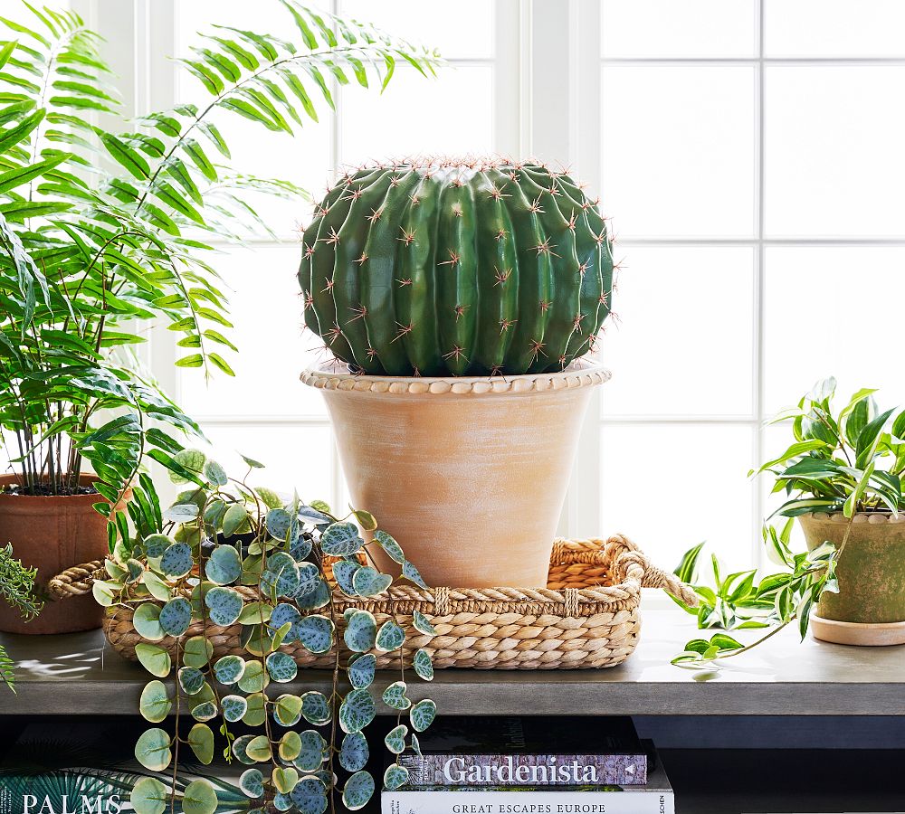 Faux Barrel Cactus | Pottery Barn