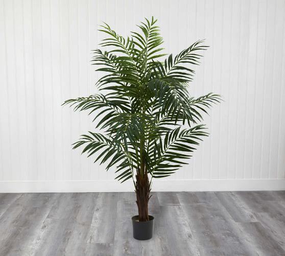 Faux Bulb Areca Palm Trees | Pottery Barn