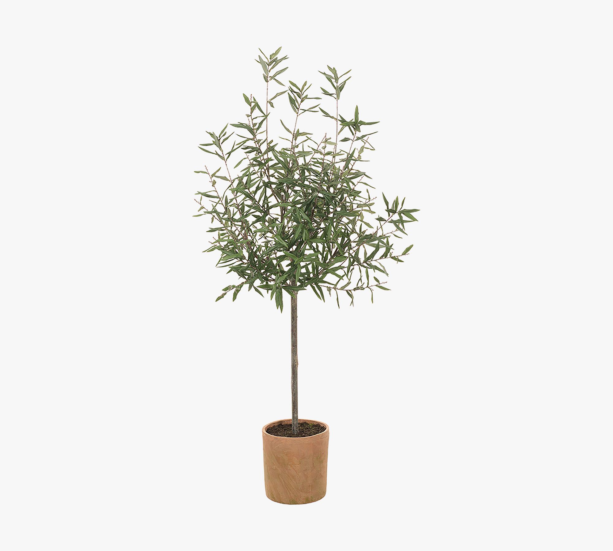 Faux Olive Tree In Pot