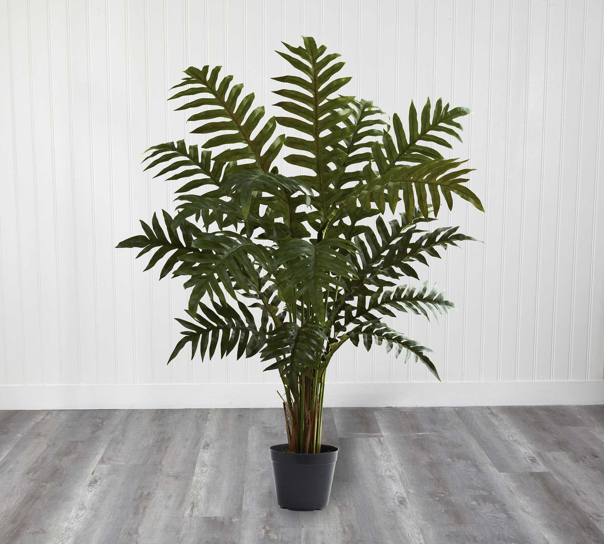 Faux Evergreen Plant