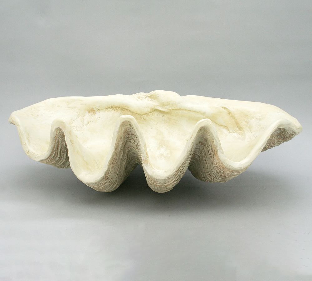 Giant Clam Decorative Object