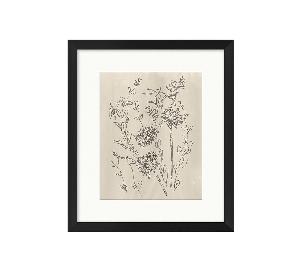 Blooming Sketch 6 Framed Print 13x15