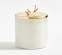 Stag Gold Lidded Scented Candle - Winter Spruce