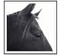 Dark Horse in Profile Framed Prints by Jennifer Meyers