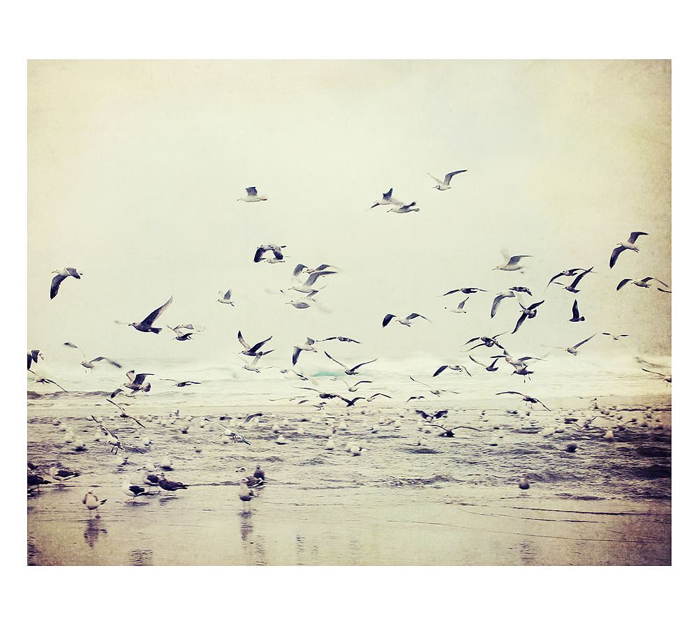 River of Birds by Lupen Grainne