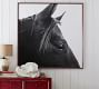 Dark Horse in Profile Framed Prints by Jennifer Meyers