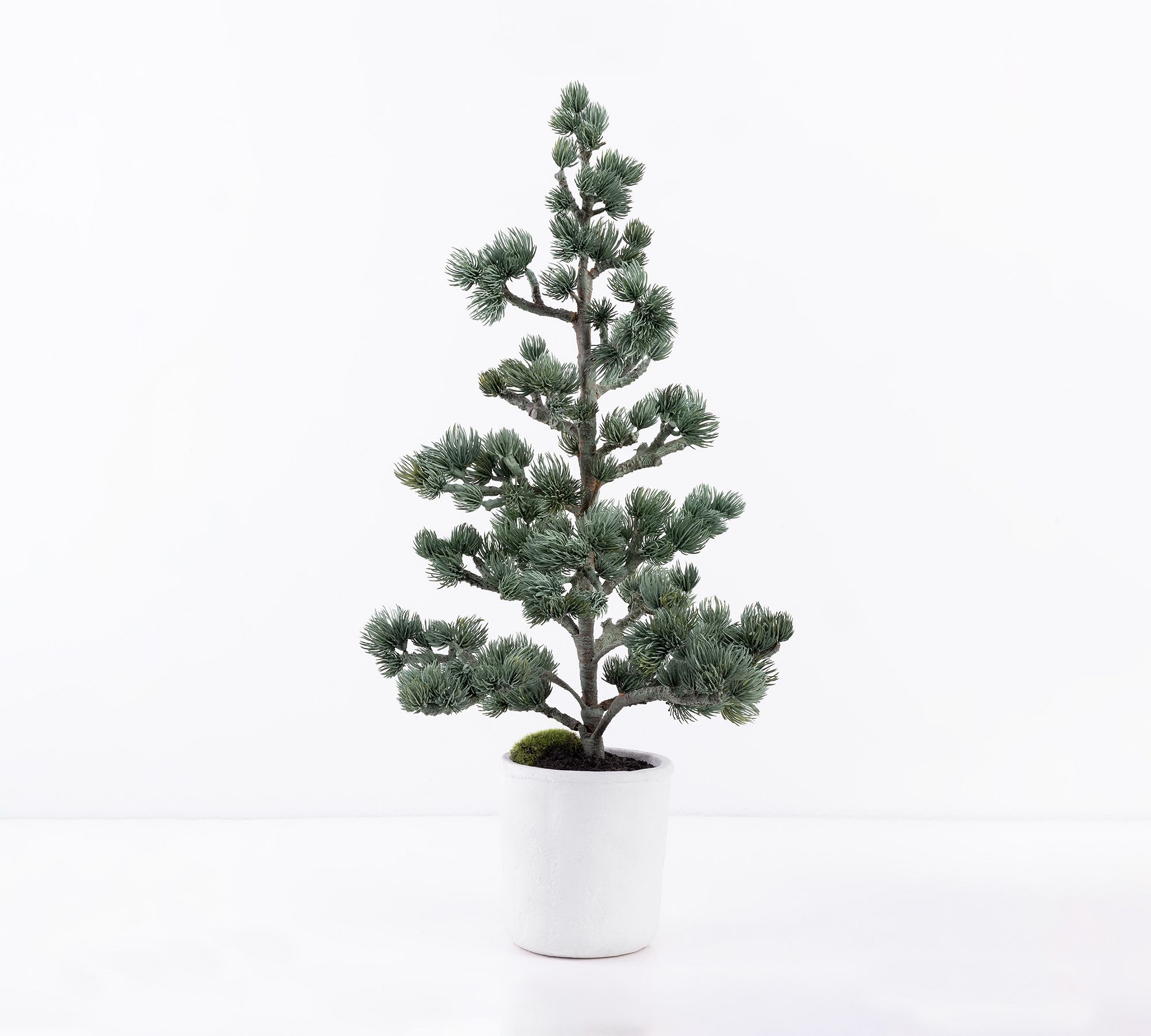 Faux Bonsai Spruce Potted Tree