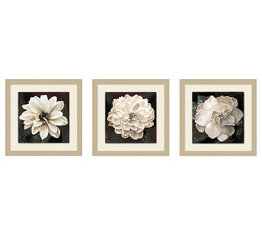White Flower Prints | Pottery Barn