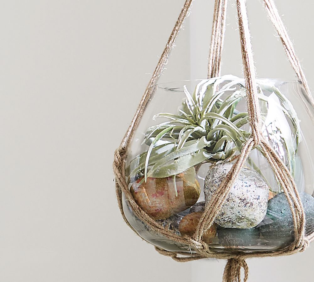 Hanging Glass Terrarium with Rope Pottery Barn