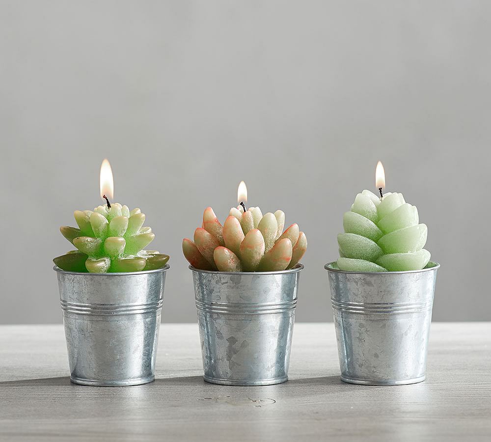 Potted Succulent Candles, Mixed set of 3
