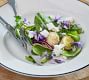 Costa Nova Beja Rimmed Salad Plates - Set of 4