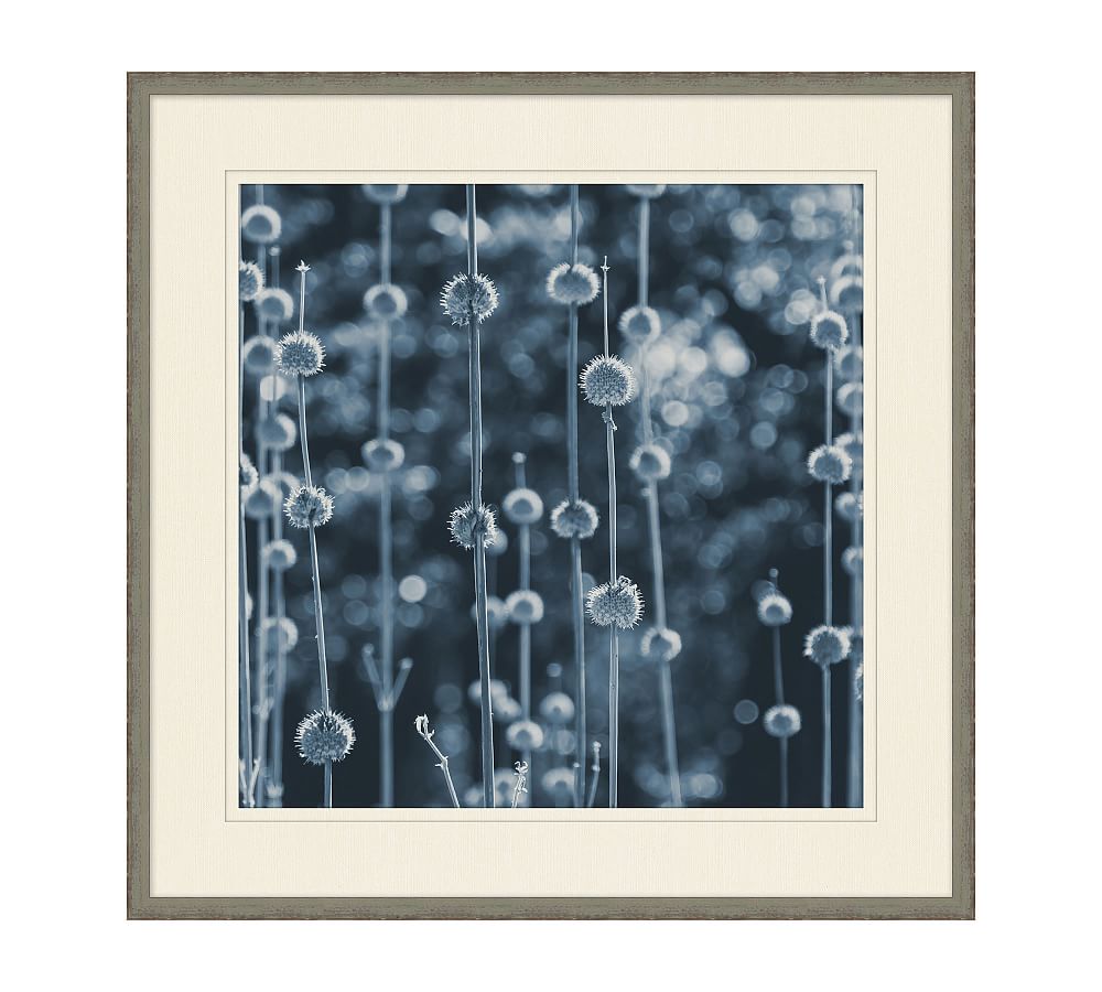 Indigo Wildflowers Framed Print