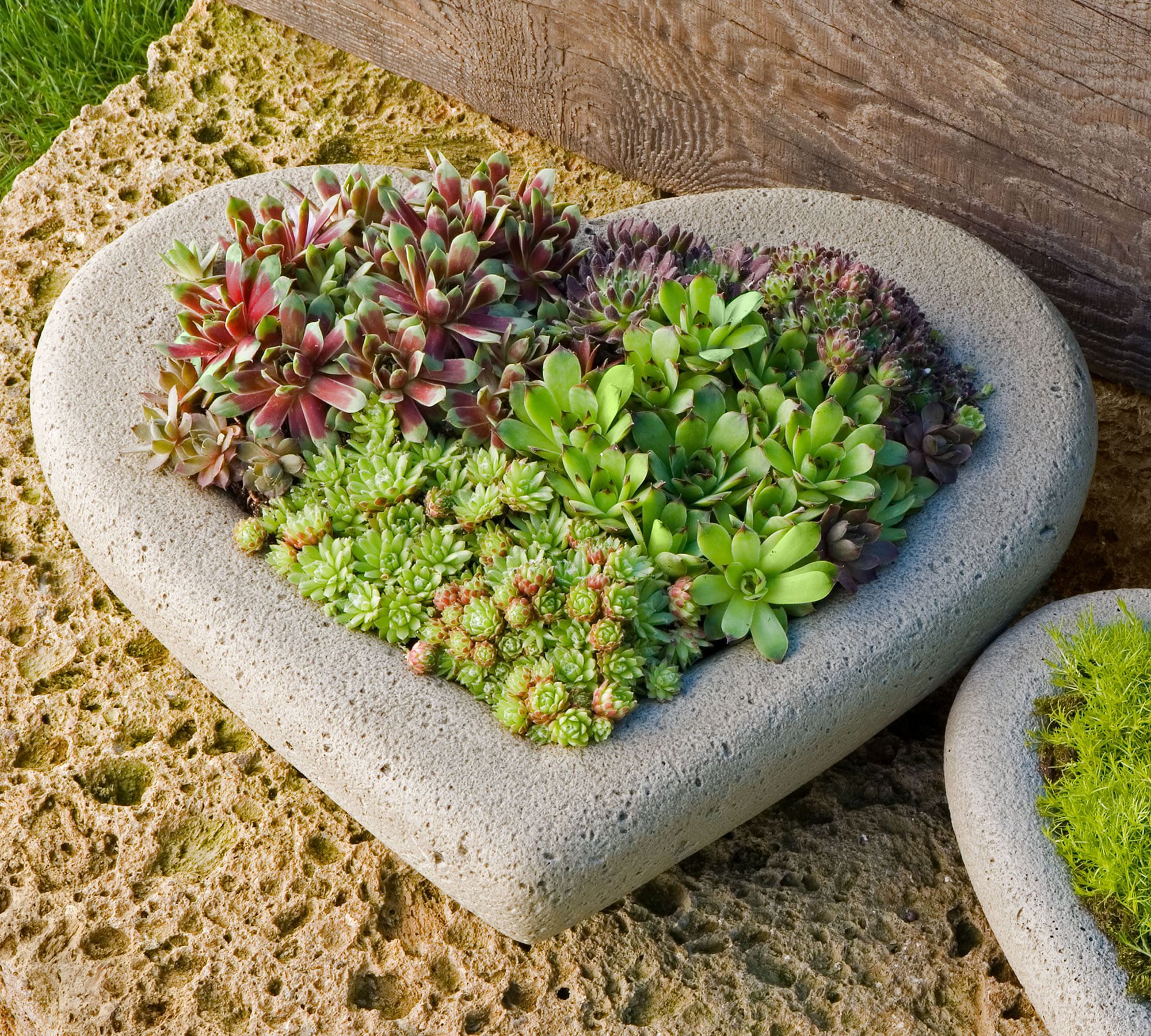 Sweet Heart Planter Collection